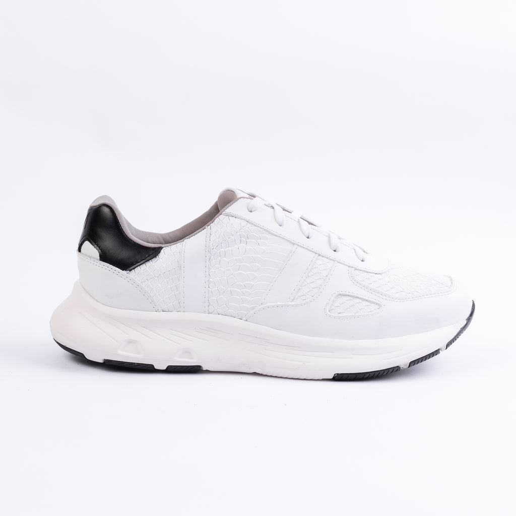 Amadeo Babilla Blanco