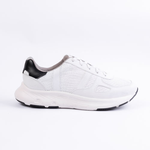 Amadeo Babilla Blanco