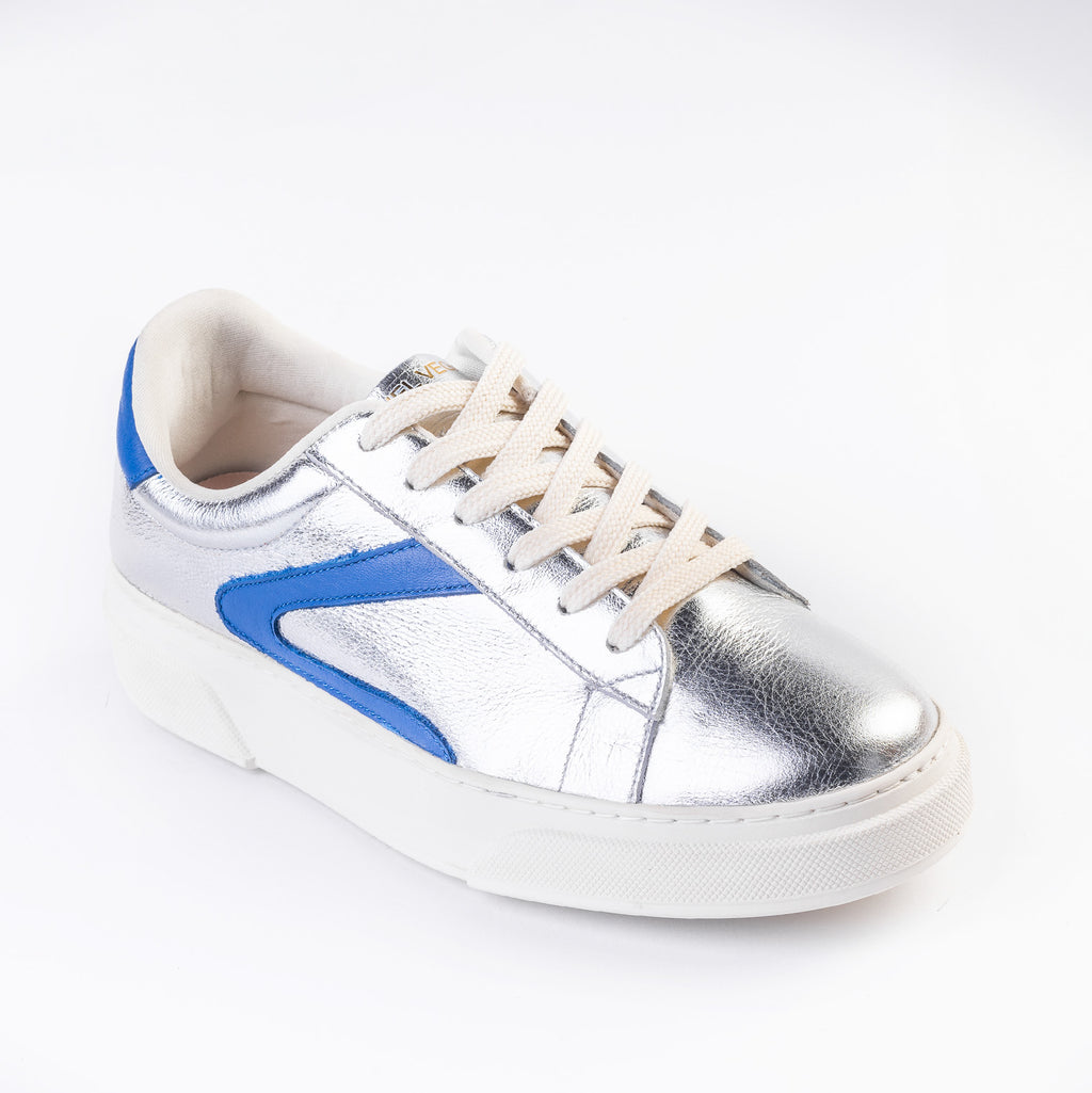 Anita Folia Plata x Azul Britanico