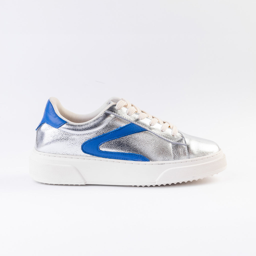 Anita Folia Plata x Azul Britanico